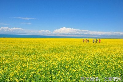 “我厌倦了他们没完没了的坚忍”