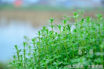 一点优美的句子