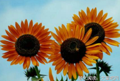 关于自己的句子