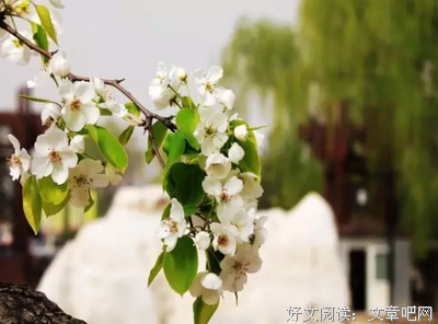 帮你，不是欠你；让你，不是怕你