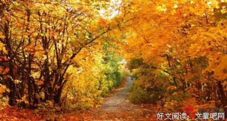 2015--秋经典的句子