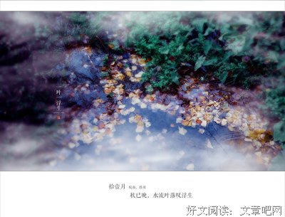 禅语人生