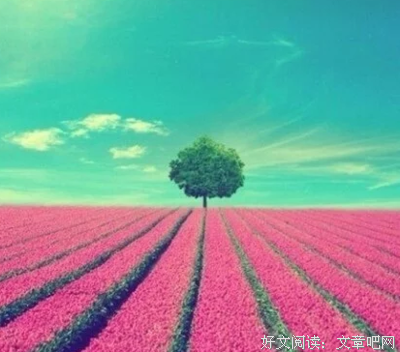 愿一生一第认能一双人的优美句子