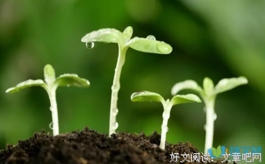 有关好句的句子