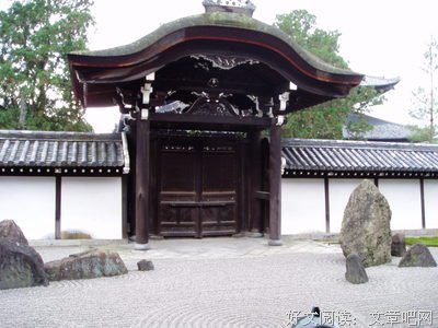 朵嘉浓蝉禅：焦点在哪，未来就在哪！