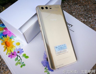《琥珀》读后感10篇