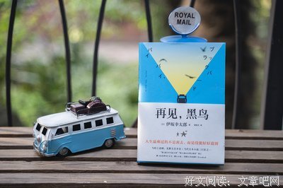 《再见，黑鸟》读后感10篇