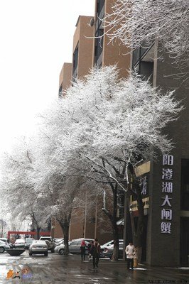 长白飞雪优美的句子