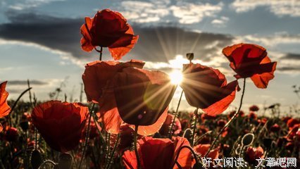 美段好词好句