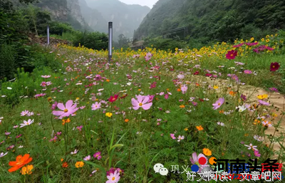 碎绿荫句子