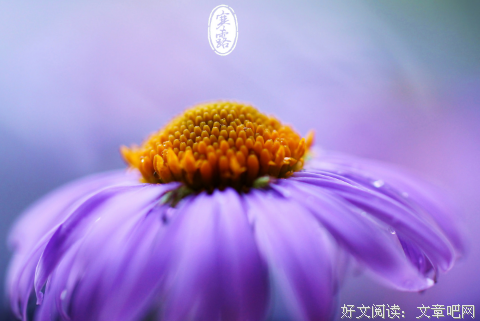 微感动句子大全