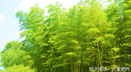 恋清风好词好句