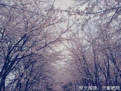 有关等风来的句子
