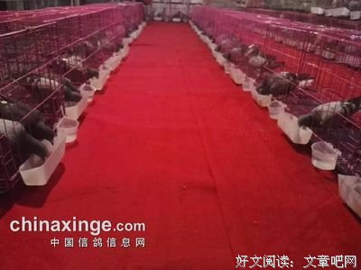 关于一言以蔽之的名句摘抄