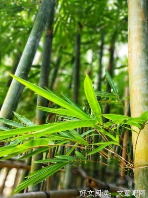 心宽，路自宽！