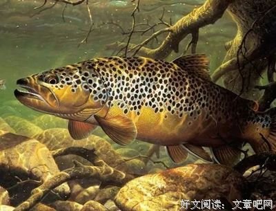 海鲜，正在残害无数中国人