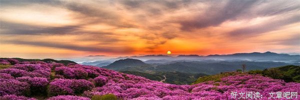 我的心句子
