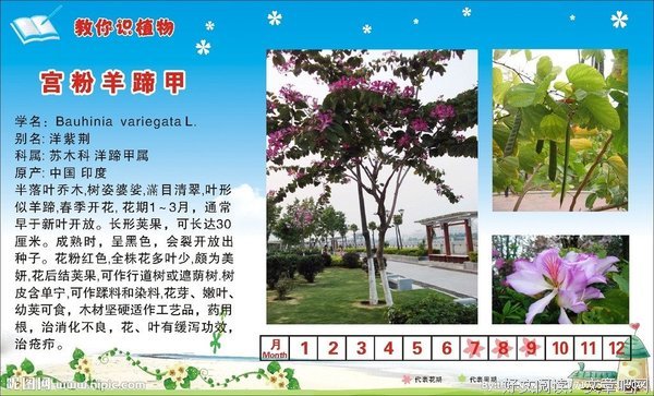 最全的《家还宫》经典的句子大全