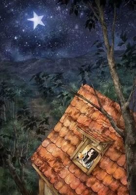【夜听】家，越平淡越幸福！
