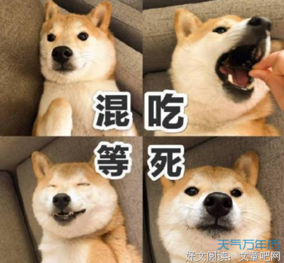随心经典的句子