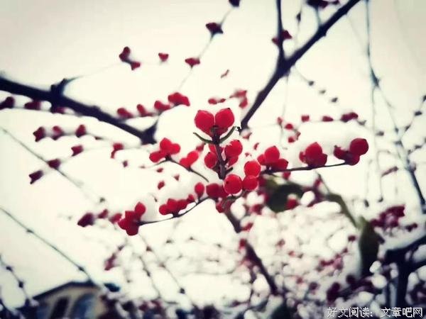 穷长良心