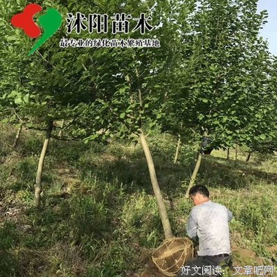 二乔的名言_关于二乔的名言