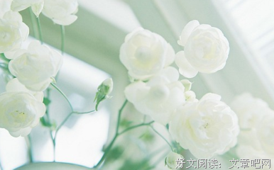 12星座最该关心的是什么？