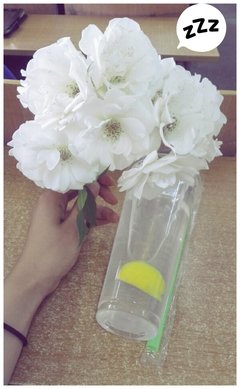 花句子大全
