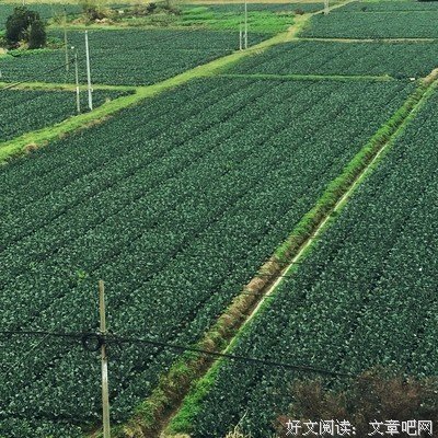 《一生热爱回头太难》的句子