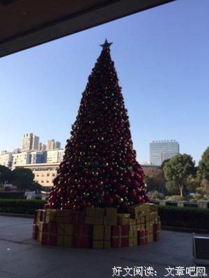 2019年最后一个月，想对自己说......
