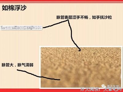 《四象脉诊》的读后感10篇