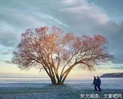 你人再好有屁用（说得太好了）