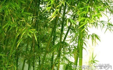 江山散文 