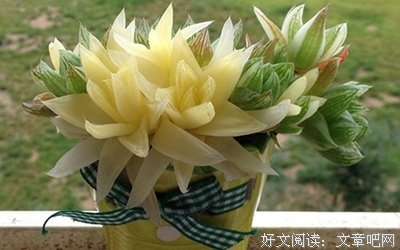 离殇经典的句子
