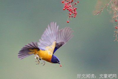 搞第看段子的句子