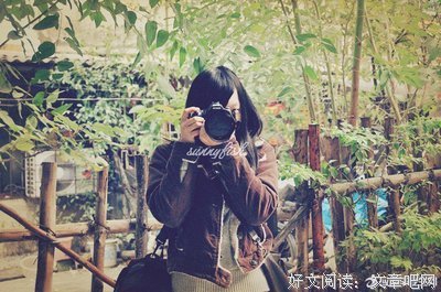 风的句子