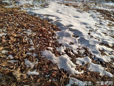 南方人对雪的向往，像极了爱情