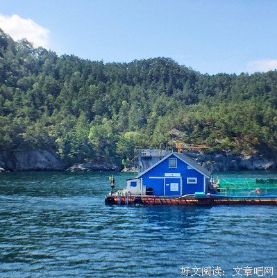 关于桥桥的语句