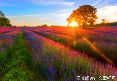 关于悠然的名言