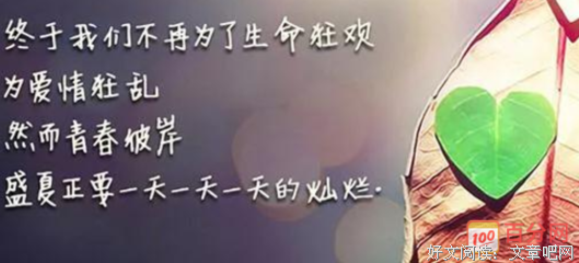 关于不搭的句子