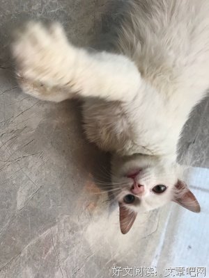 我爸要我流产，不躲你家，去哪里？