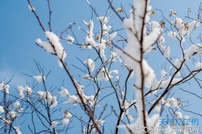 关于分析哲后作月要的优美句子
