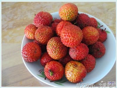 有关美句可可用在作文的句子
