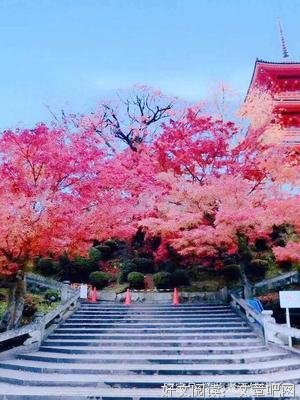 缄默句子