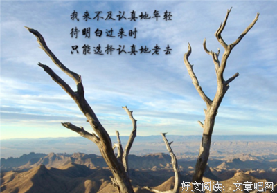 有关一字一句触动我的心的句子