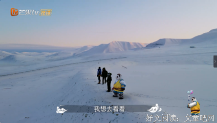 《小小的追球》的影评10篇