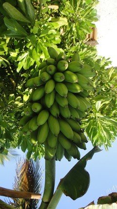 《幸福岛味道》影评10篇