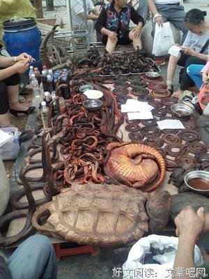公公在病床上，还想再看女骗子一眼