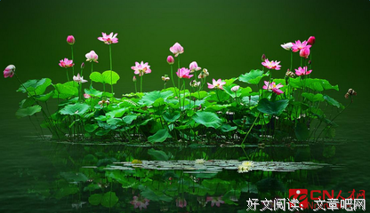 关于收的优美句子