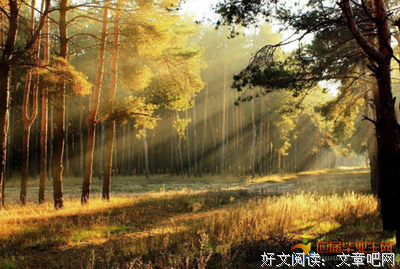 关于我喜欢的句集的优美句子